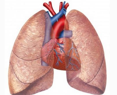 肺动脉高压