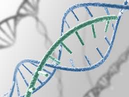 英国风湿病学会发布了针对炎性关节炎的生物疗法的新安全指南