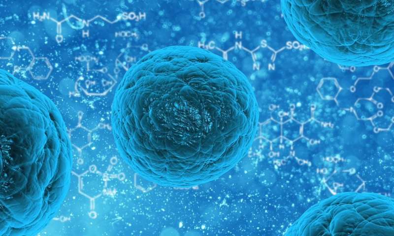 科学家们发现了一种新的人类脑细胞