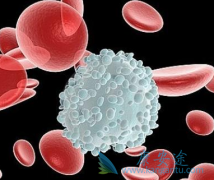 专家解答慢性粒细胞白血病的治疗方法