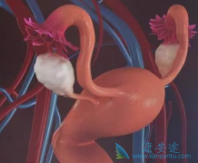 诱发宫颈癌前病变的原因