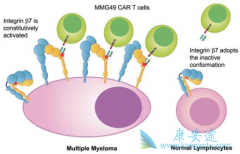 多发性骨髓瘤患者应做好什么护理?