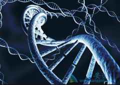 多发性骨髓瘤的症状表现是什么