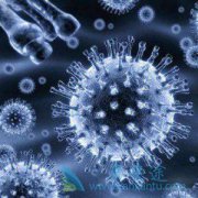 多发性骨髓瘤发病因素有哪些?