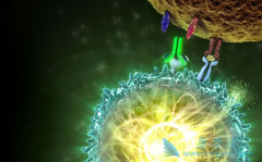 多发性骨髓瘤是如何进行诊断的