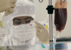 多发性骨髓瘤患者的饮食有什么?