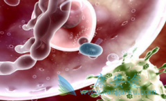 多发性骨髓瘤患者的心理治疗