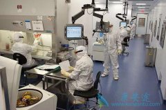 b细胞淋巴瘤化疗方案是否有用