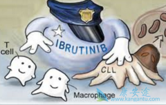 淋巴瘤引起的肾损害是什么?