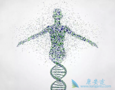 卵巢癌引起肠梗阻怎么治疗