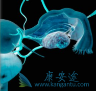 了解卵巢癌的病因做好预防工作