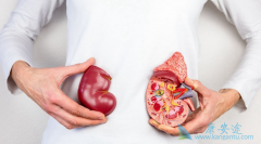 查出肾癌中晚期不治疗还可以能活多久