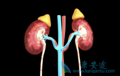 肾癌的诊断