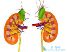 肾癌疾病症状有哪些表现