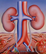 治疗肾癌的方法有哪些？