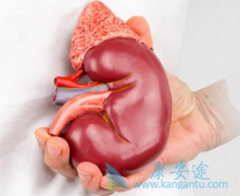 肾癌患者的早期症状有哪些？