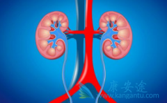 肾癌患者吃什么好呢？