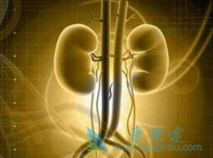 肾癌化疗引起脱发不必慌张