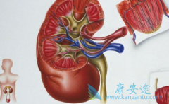 肾癌患者治疗期间的护理