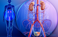 中西医双管齐下治肾癌