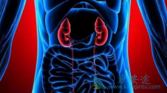 常见的肾癌症状