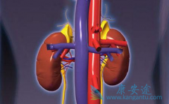 关于肾癌的主要症状的概述