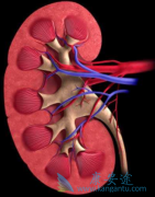 有关肾癌早期的一些症状