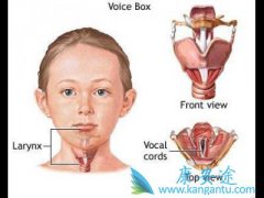 食道癌寿命最长活几年