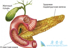 胰腺癌晚期疼痛难忍时有哪些应对方法