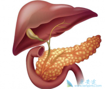 急性胰腺炎的常见病因都有哪些呢